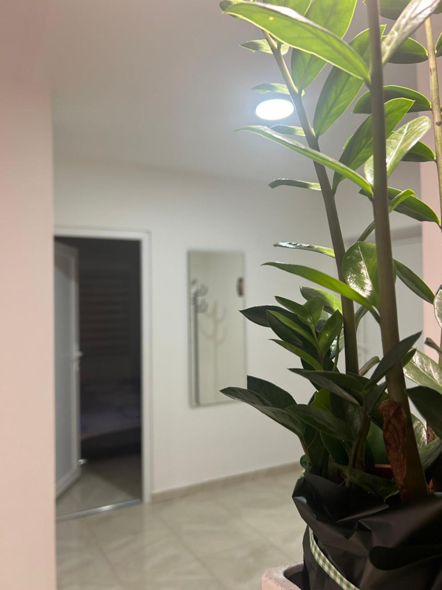 Apartman Diamond Lux Surčin Eksteriør billede