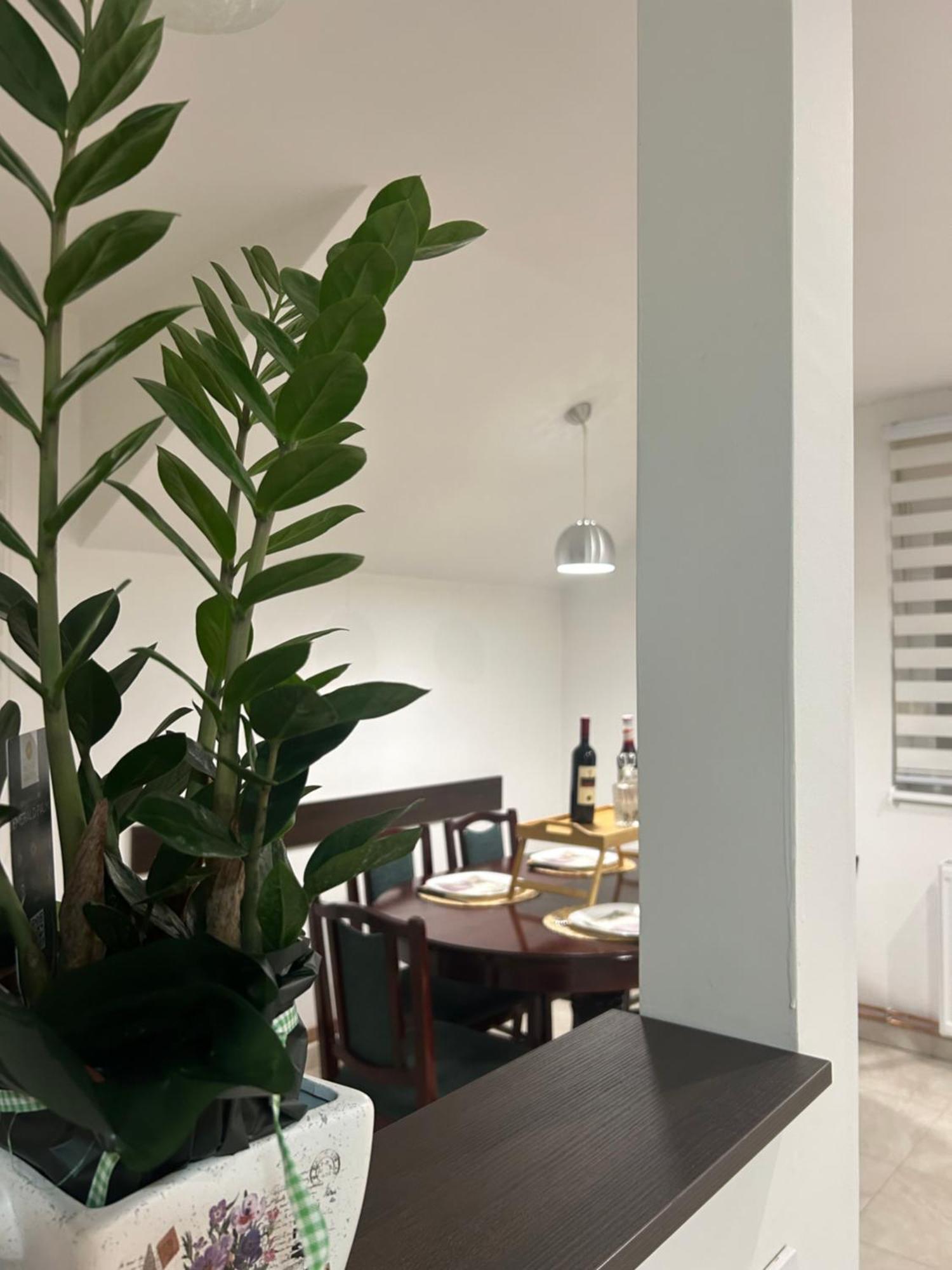 Apartman Diamond Lux Surčin Eksteriør billede